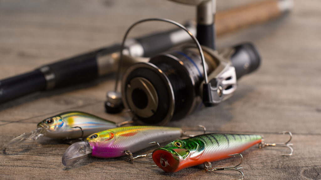 Charged with illegal hunting or poaching.