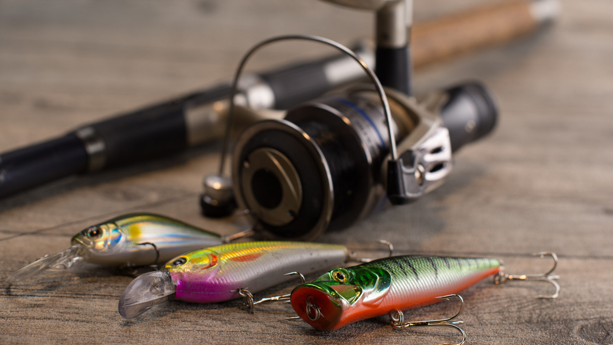 Charged with illegal hunting or poaching.