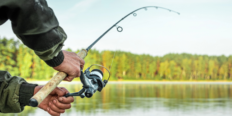 Game and Fish Laws Arizona